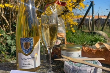 Balade Gourmande et Vinicole