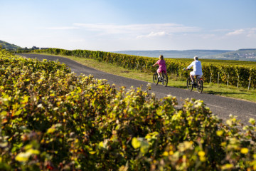 balade à vélo électrique dans la vallée de la Marne - Vélobourso