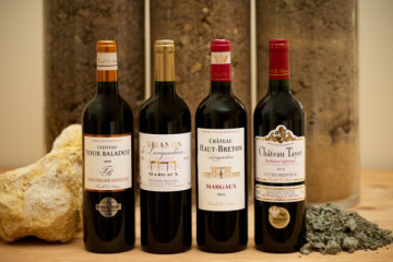 Dégustation terroirs 4 vins
