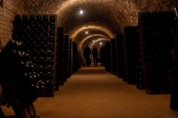 Visite de caves