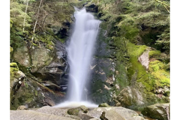 À découvrir : journée captivante entre tourbières et cascade dans les Vosges