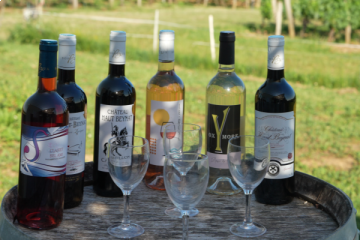 Le Coteau des Sens x Château Haut Beynat