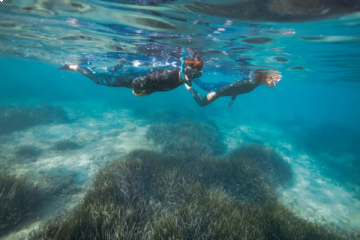 Excursion de snorkeling aux îles du Frioul