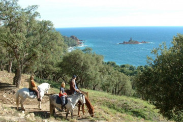 Les Ferrières : Balade équestre cavalier moyen