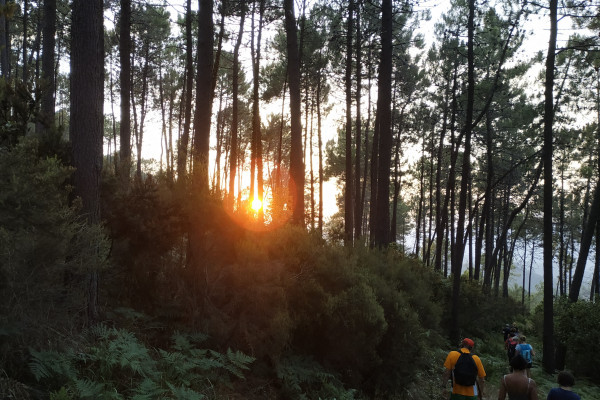 Retour au soleil couchant dans la forêt de l'Estérel !