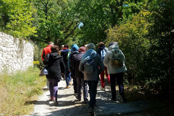 Entré du site archéologique d'Entremont