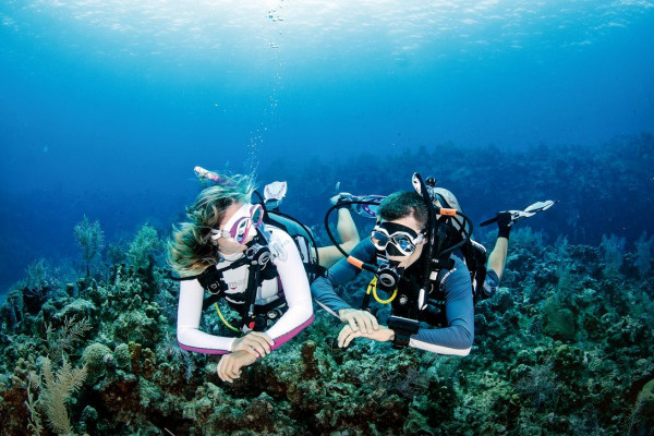 spécialités SSI plongee sous marine Fréjus Var Méditerranée Cotedazur