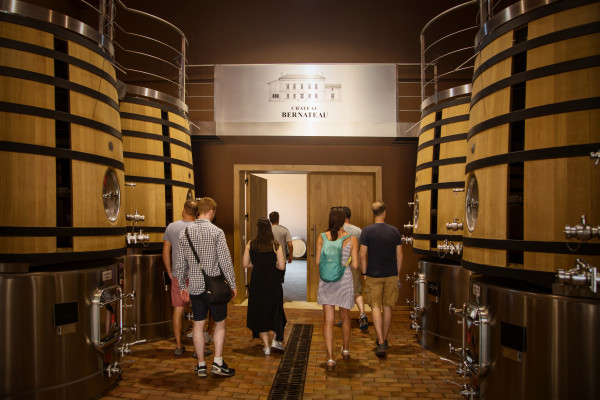 Notre cuvier, rénové en 2016, avec nos cuves bois à douelle transparente et où nous pouvons travailler par gravité