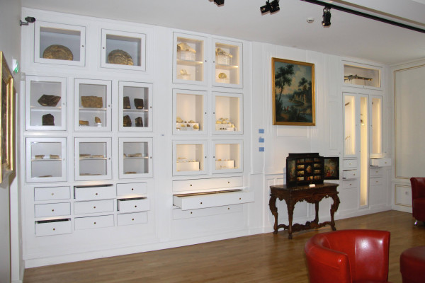 Salle des collections