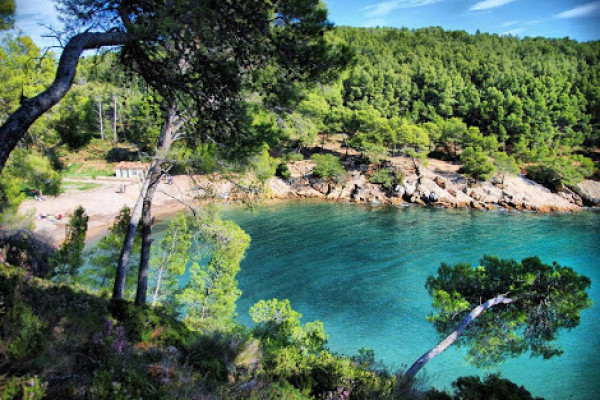 Calanque du Port d'Alon 