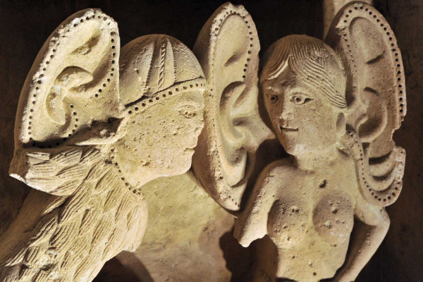 Grandes oreilles ou ailes d'anges... l'écxoute donne des ailes !