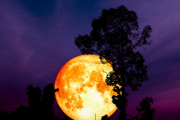 Camina Luna