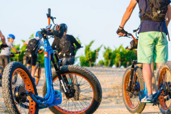 Balade en trotinette tout terrain électrique dans le vignoble cultivé en biodynamie du Château l'Hospitalet