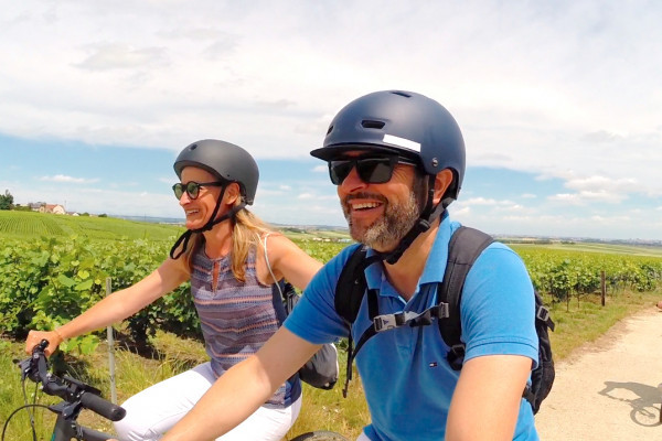 Dans le vignoble de la Montagne de Reims