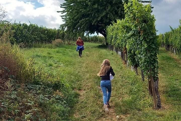 Une activité à faire en famille ou entre amis, pour les petits comme pour les grands !