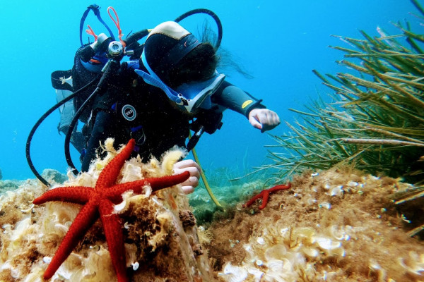Aquatic Rando Port Fréjus