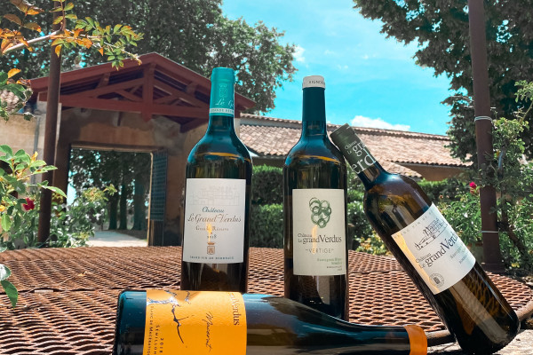 Nos trésors de Blanc