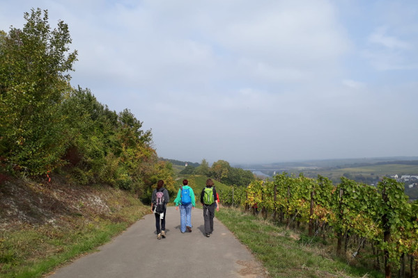 Randonnée pédestre à la Moselle - auberge de jeunesse Remerschen