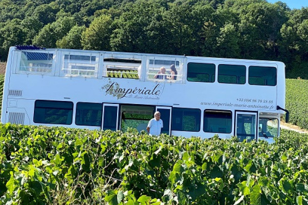 Un arret dans les vignes 