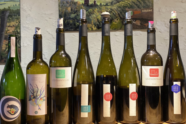 Sélection de vins parmi les 3 gammes et quelques éditions limitées