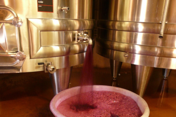 Remontage en cours sur les vins rouges
