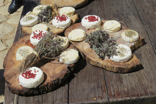 Le formage de chèvre spécialités de Provence
