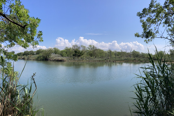 Etang de Villepey