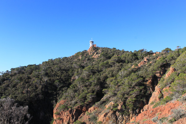 Point de vue sur la végétation et le Sémaphore