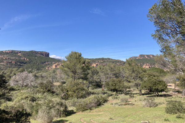 Paysage du Blavet