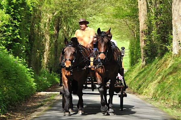 ©La Calèche de Saint-Pierre