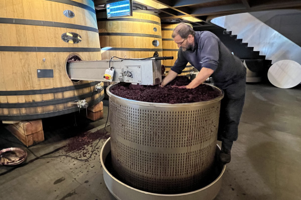 Extraction du vin de presse au Château Soutard