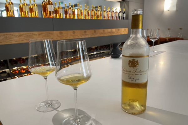 Dégustation au Château Suduiraut