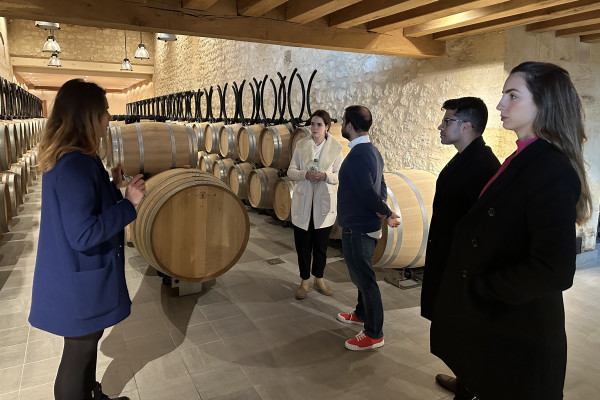 Château Fonplégade