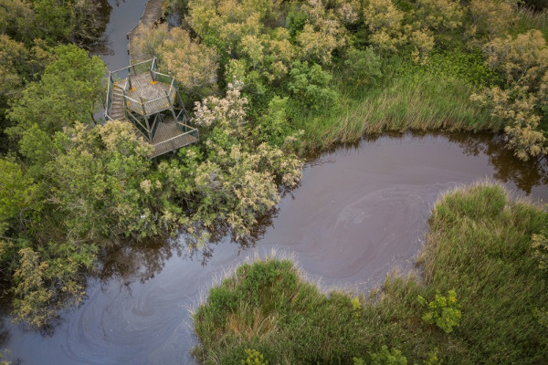 Vue aérienne Marais du Vigueirat(c)Clément Pappalardo
