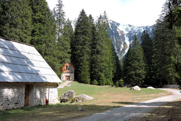 Parc des loups - Mercantour