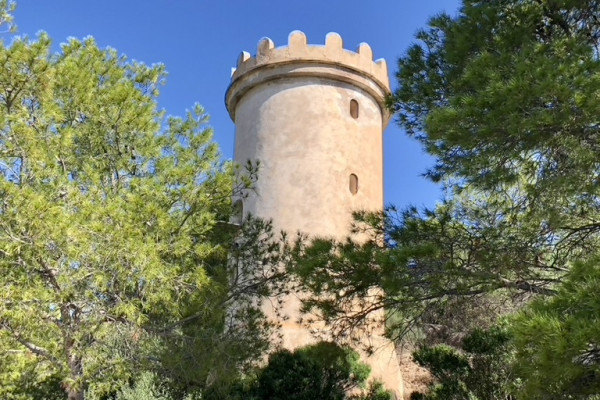 Découverte de l’île protégée de Sa Dragonera