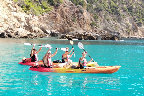 Groupe de participants en kayak le long de la côte