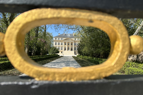 Le wine tour ultime et exclusif en Médoc