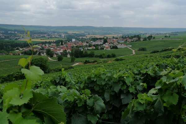 La vue panoramique depuis les hauteurs.