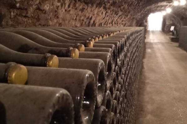 Visite de cave d'un vigneron