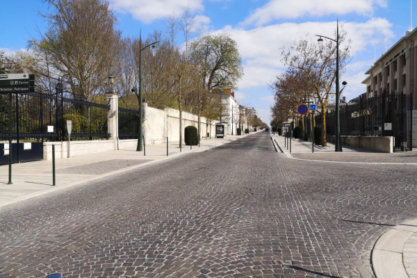 Départ de l'expérience dans la prestigieuse "Avenue de Champagne"