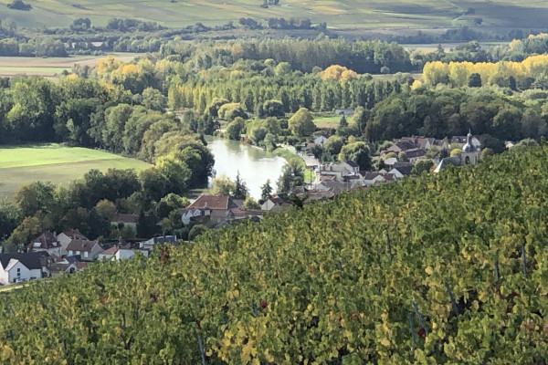 Le point de vue d'Hautvillers 