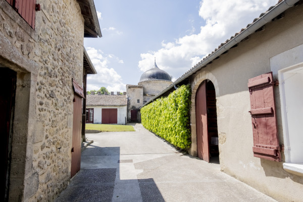 La cour de vinification