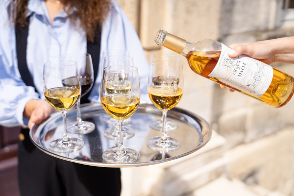 La dégustation de vin