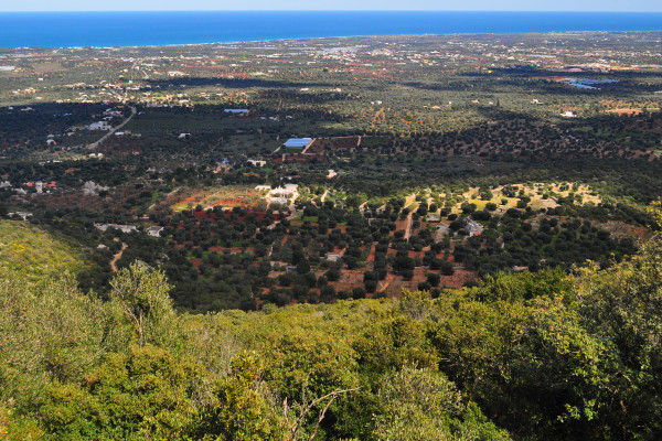 Visite Privée des Sites UNESCO : Matera et Alberobello avec prise en charge