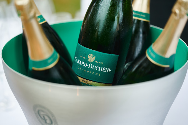 Magnum de brut dans une vasque 