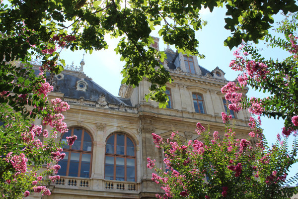 Photographie du palais de la bourse entouré de fleurs au printemps