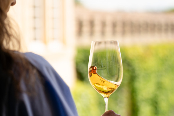 Dégustation des vins vu sur le chateau