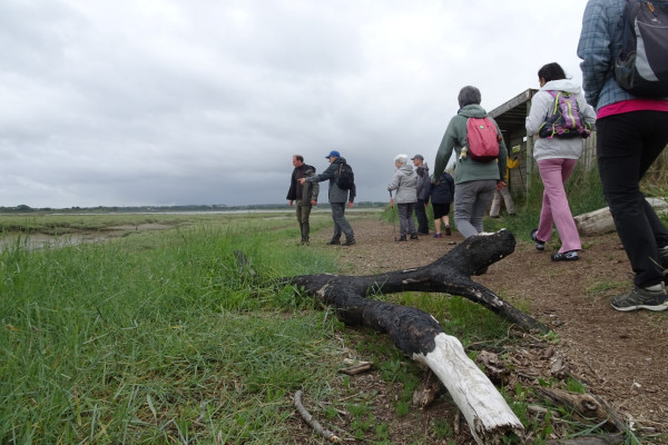 Balade à VAE entre campagne et littoral à VAE - Estuaire de l'Orne