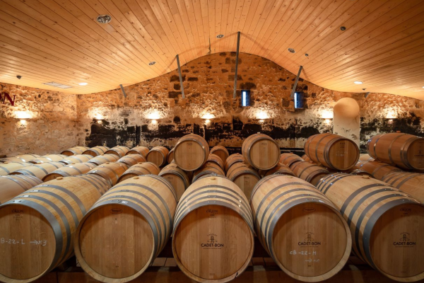 Château à Saint-Emilion